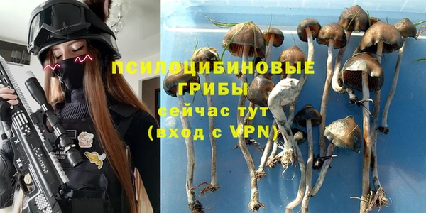 прущие грибы Бабаево