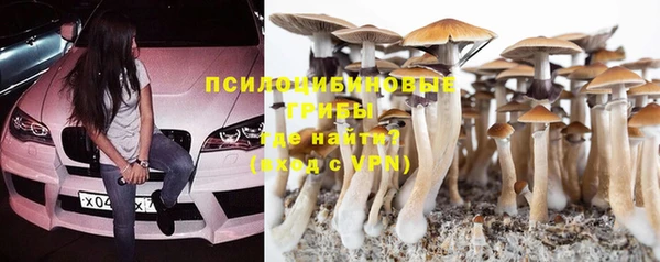 соль ск Пролетарск
