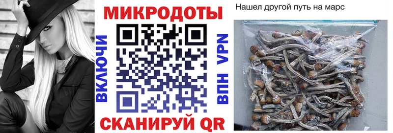 Псилоцибиновые грибы Psilocybine cubensis Саки