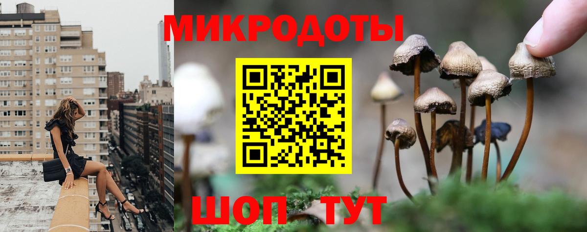 Галлюциногенные грибы GOLDEN TEACHER Саки